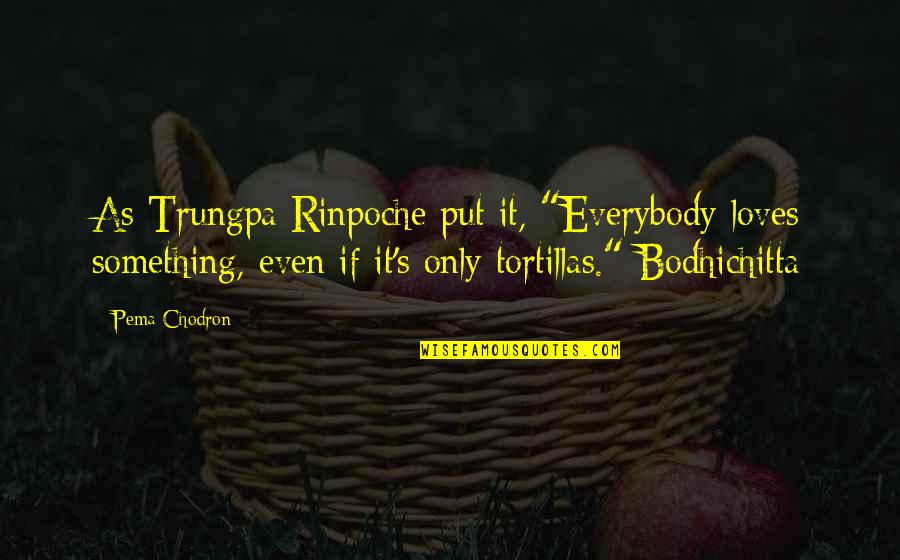 Wellbrocks Quotes By Pema Chodron: As Trungpa Rinpoche put it, "Everybody loves something,