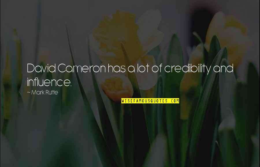 Wellens Herentals Quotes By Mark Rutte: David Cameron has a lot of credibility and