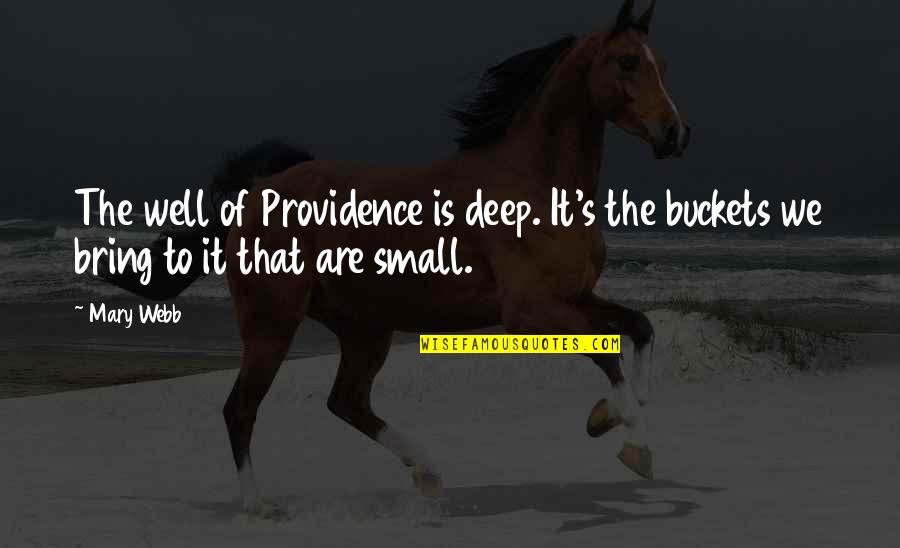 Wells Deep Quotes By Mary Webb: The well of Providence is deep. It's the