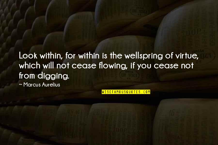 Wellspring Quotes By Marcus Aurelius: Look within, for within is the wellspring of