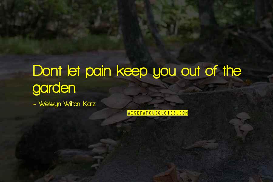 Welwyn Quotes By Welwyn Wilton Katz: Don't let pain keep you out of the