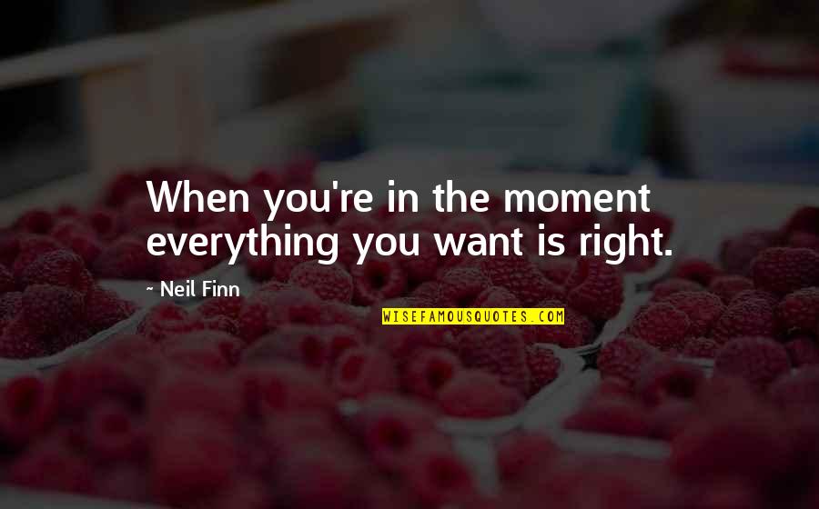 Wendalyn Perry Quotes By Neil Finn: When you're in the moment everything you want