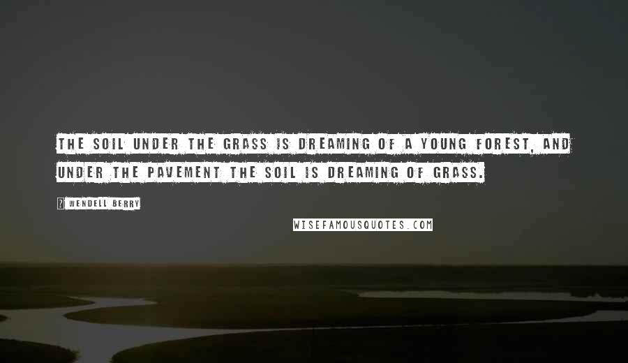 Wendell Berry quotes: The soil under the grass is dreaming of a young forest, and under the pavement the soil is dreaming of grass.