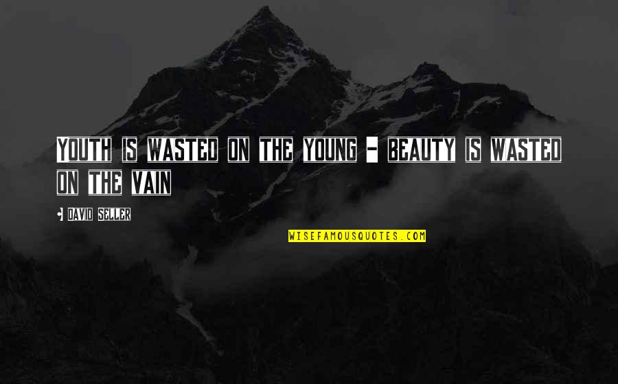Wendorf Dobermans Quotes By David Seller: Youth is wasted on the young - beauty Wendorf Dobermans Quotes By David Seller: Youth is wasted on the young - beauty