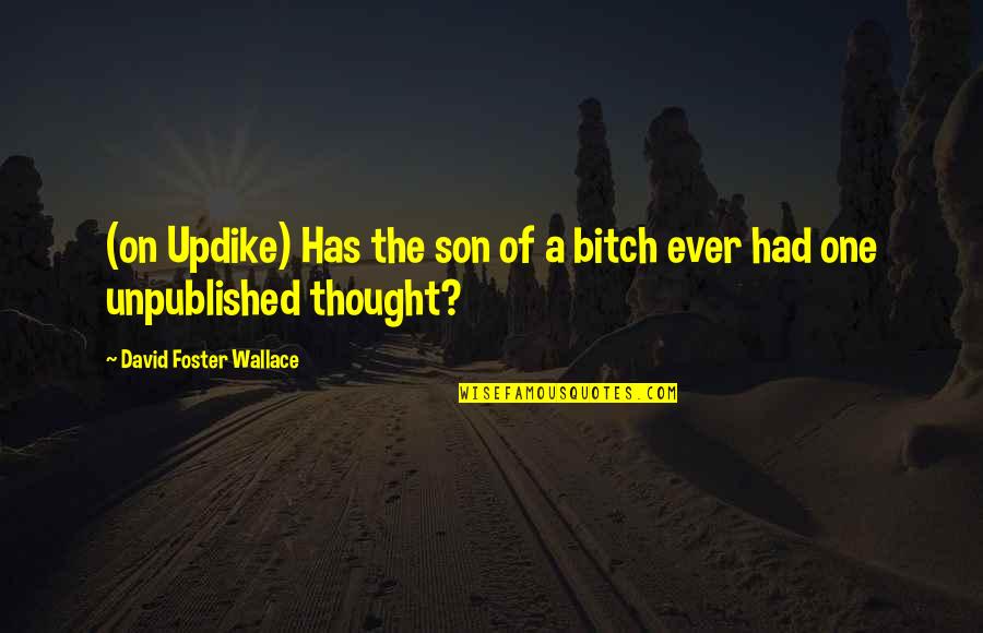 Wendzikowska Nos Quotes By David Foster Wallace: (on Updike) Has the son of a bitch Wendzikowska Nos Quotes By David Foster Wallace: (on Updike) Has the son of a bitch