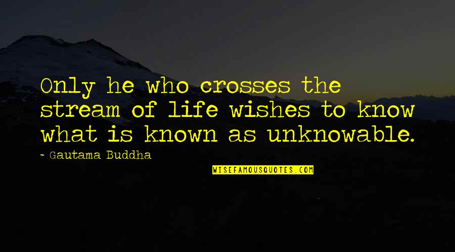 Wenen Bezoeken Quotes By Gautama Buddha: Only he who crosses the stream of life