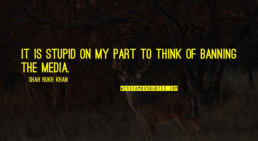 Wennekes Den Quotes By Shah Rukh Khan: It is stupid on my part to think