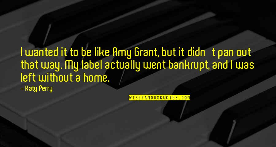 Went Home Quotes By Katy Perry: I wanted it to be like Amy Grant,