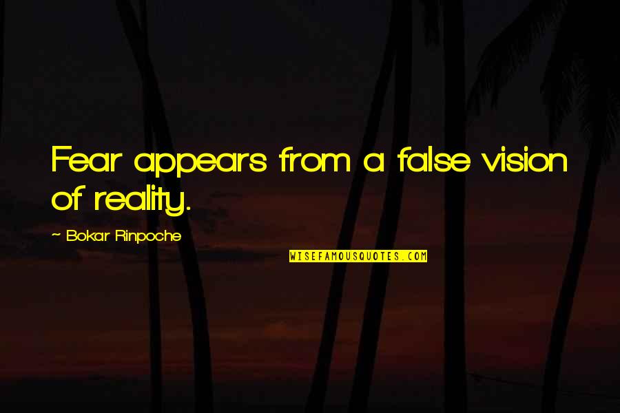 Wentink Surveying Quotes By Bokar Rinpoche: Fear appears from a false vision of reality.