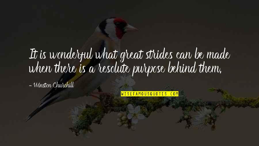 Werbelow Beverages Quotes By Winston Churchill: It is wonderful what great strides can be