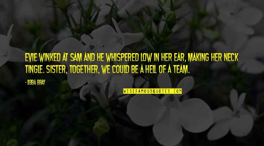 We're A Team Quotes By Libba Bray: Evie winked at Sam and he whispered low