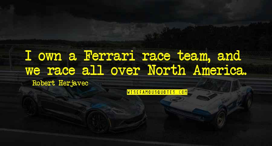 We're A Team Quotes By Robert Herjavec: I own a Ferrari race team, and we