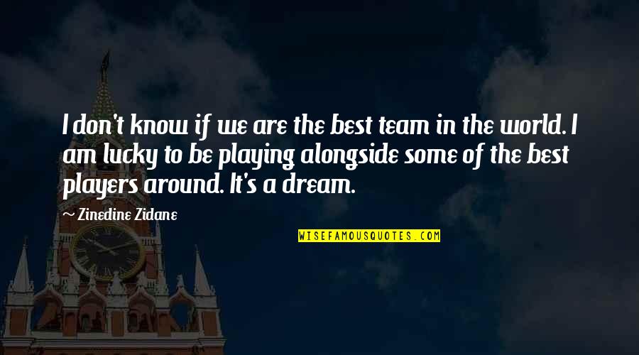 We're A Team Quotes By Zinedine Zidane: I don't know if we are the best