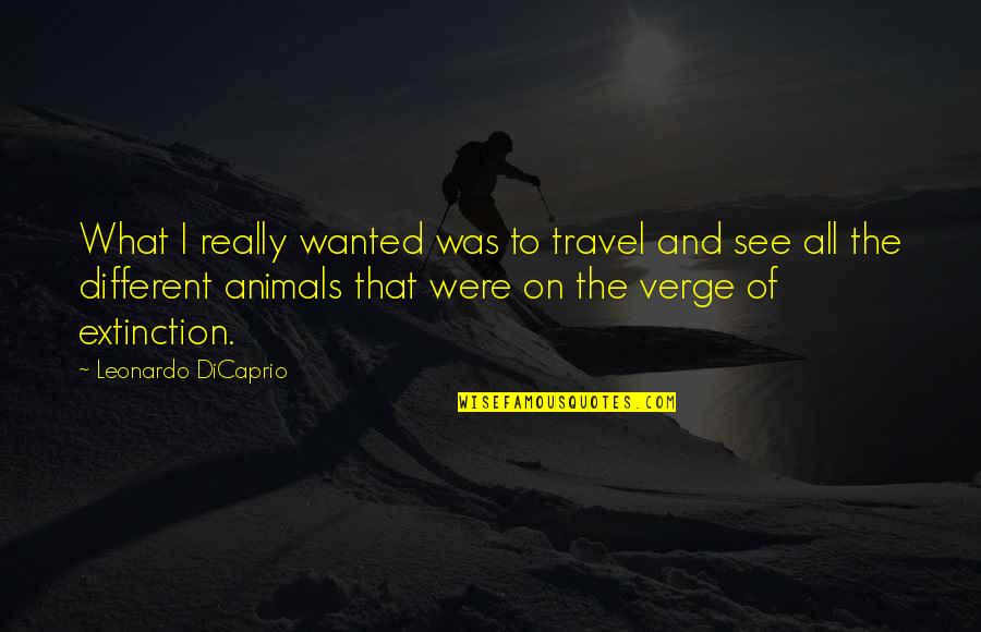 Were All Different Quotes By Leonardo DiCaprio: What I really wanted was to travel and
