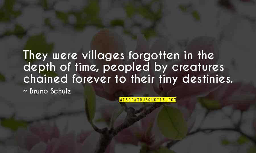 Were Destiny Quotes By Bruno Schulz: They were villages forgotten in the depth of