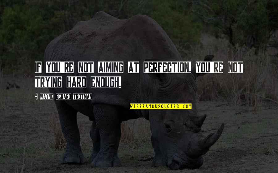 Were Not Aiming Quotes By Wayne Gerard Trotman: If you're not aiming at perfection, you're not Were Not Aiming Quotes By Wayne Gerard Trotman: If you're not aiming at perfection, you're not