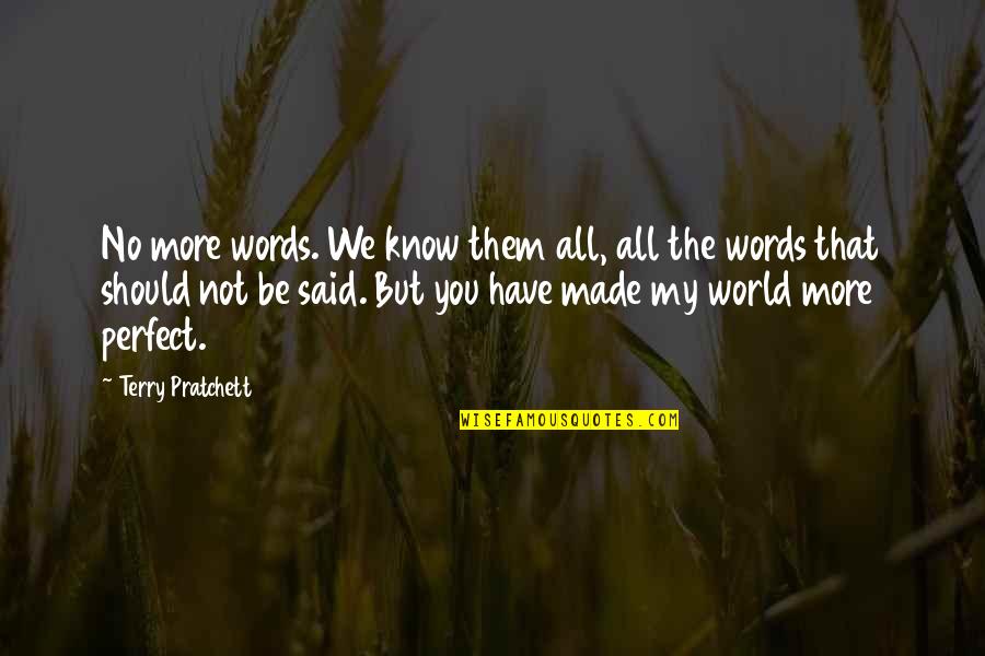 We're Not Perfect But Quotes By Terry Pratchett: No more words. We know them all, all