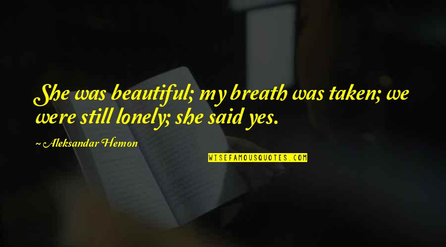Were Still Quotes By Aleksandar Hemon: She was beautiful; my breath was taken; we