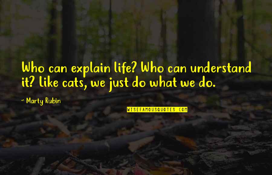 Werelds Grootste Quotes By Marty Rubin: Who can explain life? Who can understand it?