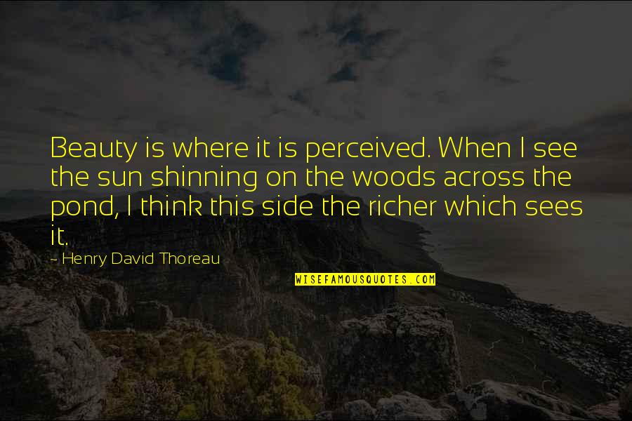 Wereldwijd Chatten Quotes By Henry David Thoreau: Beauty is where it is perceived. When I Wereldwijd Chatten Quotes By Henry David Thoreau: Beauty is where it is perceived. When I