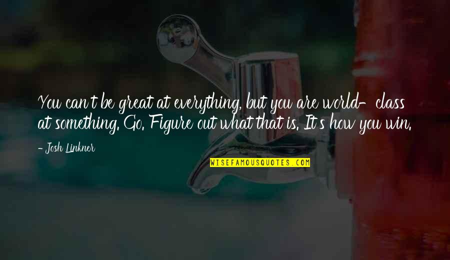Werkhoven Dairy Quotes By Josh Linkner: You can't be great at everything, but you Werkhoven Dairy Quotes By Josh Linkner: You can't be great at everything, but you