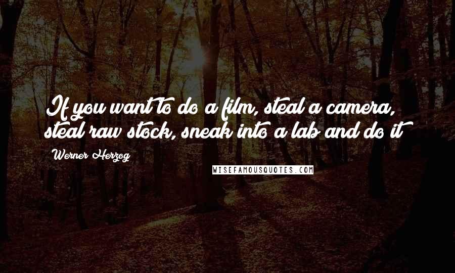Werner Herzog quotes: If you want to do a film, steal a camera, steal raw stock, sneak into a lab and do it!