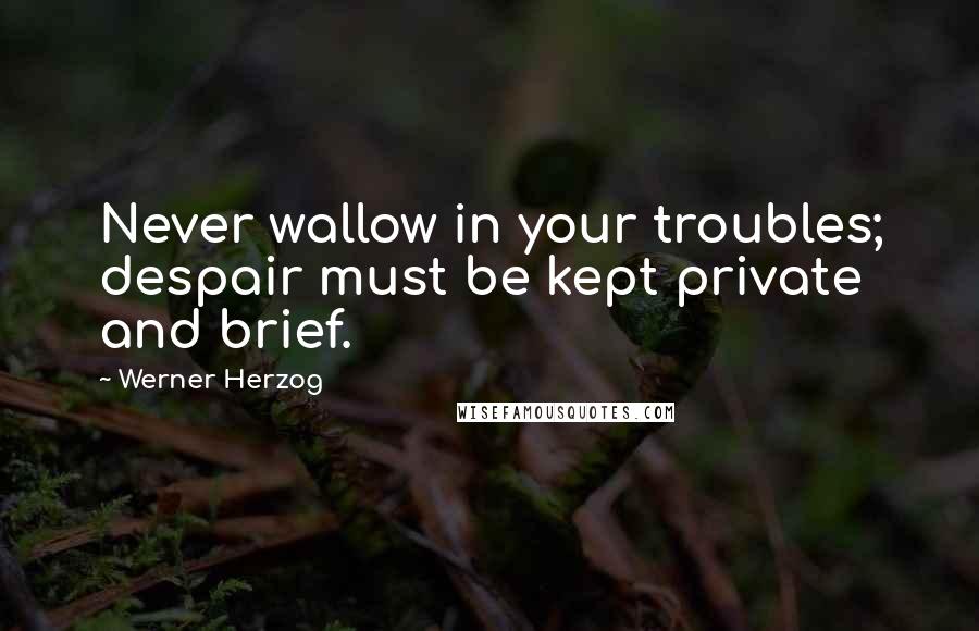Werner Herzog quotes: Never wallow in your troubles; despair must be kept private and brief.