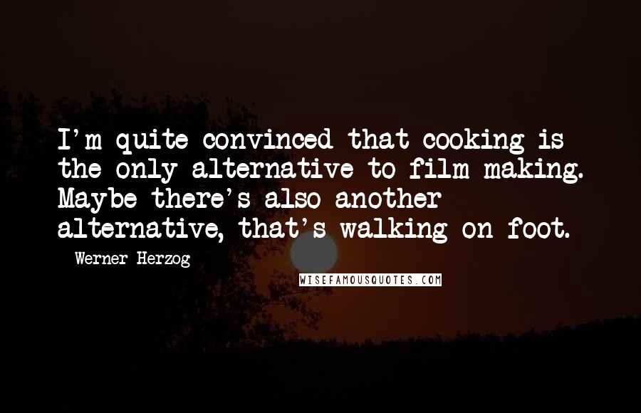 Werner Herzog quotes: I'm quite convinced that cooking is the only alternative to film making. Maybe there's also another alternative, that's walking on foot.