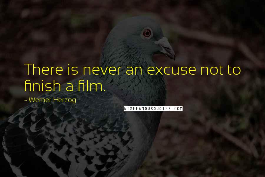Werner Herzog quotes: There is never an excuse not to finish a film.