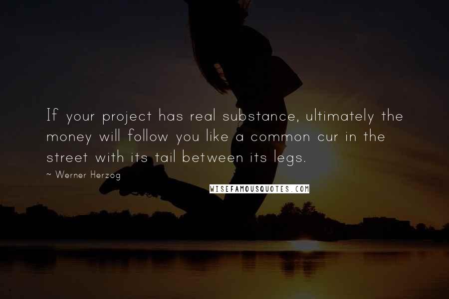 Werner Herzog quotes: If your project has real substance, ultimately the money will follow you like a common cur in the street with its tail between its legs. Werner Herzog quotes: If your project has real substance, ultimately the money will follow you like a common cur in the street with its tail between its legs.