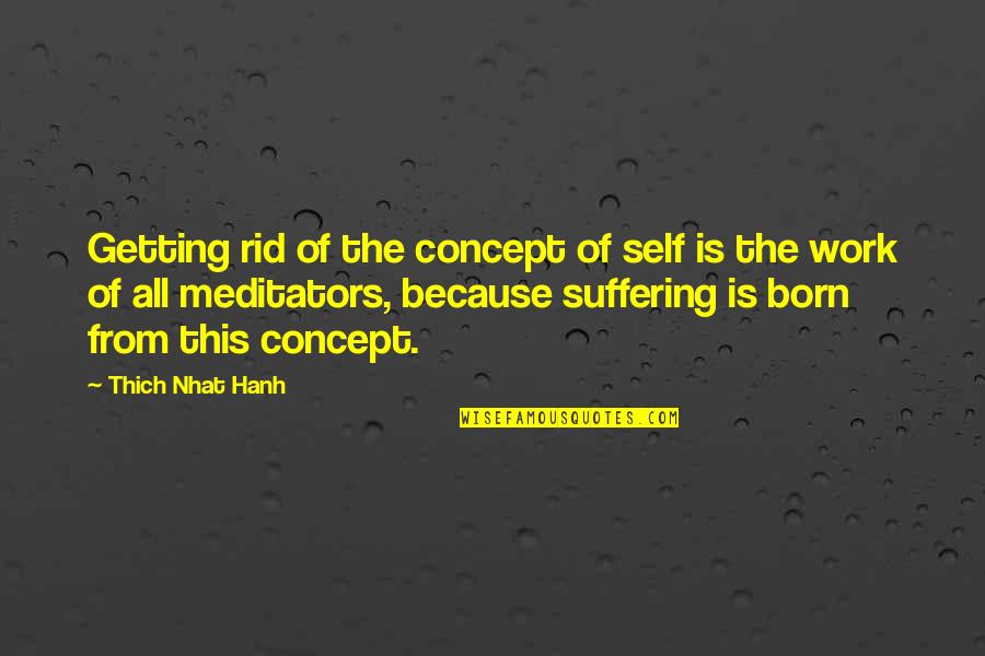 Werner Meminger Quotes By Thich Nhat Hanh: Getting rid of the concept of self is Werner Meminger Quotes By Thich Nhat Hanh: Getting rid of the concept of self is