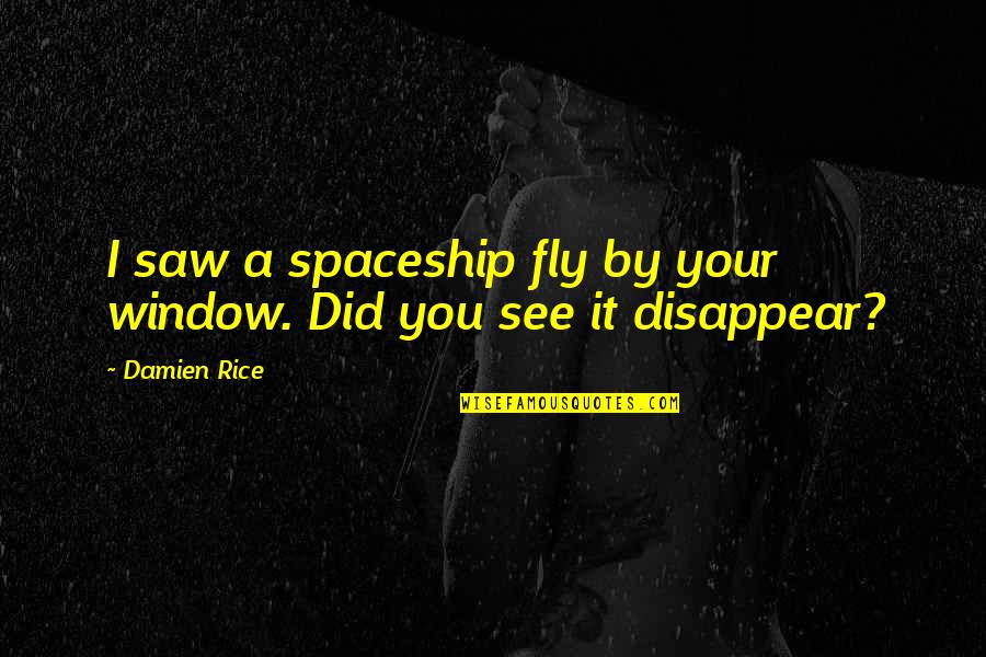 Wern't Quotes By Damien Rice: I saw a spaceship fly by your window.