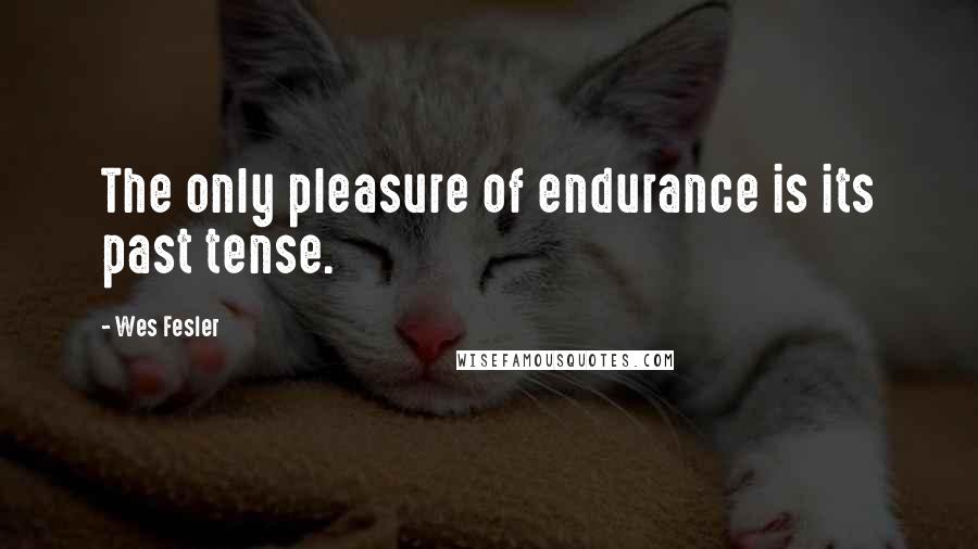 Wes Fesler quotes: The only pleasure of endurance is its past tense.