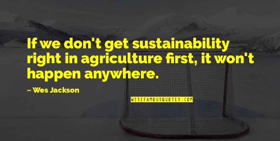 Wes Quotes By Wes Jackson: If we don't get sustainability right in agriculture