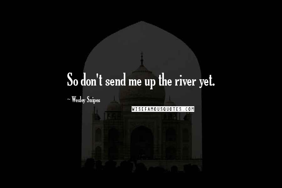 Wesley Snipes quotes: So don't send me up the river yet.