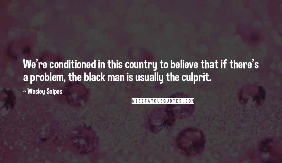 Wesley Snipes quotes: We're conditioned in this country to believe that if there's a problem, the black man is usually the culprit.