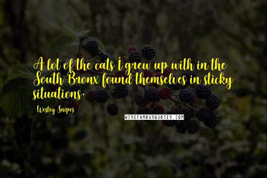 Wesley Snipes quotes: A lot of the cats I grew up with in the South Bronx found themselves in sticky situations.