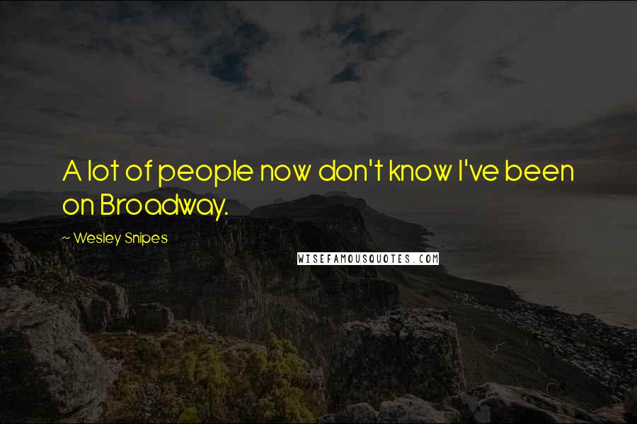 Wesley Snipes quotes: A lot of people now don't know I've been on Broadway.