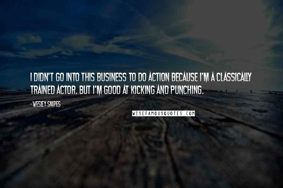 Wesley Snipes quotes: I didn't go into this business to do action because I'm a classically trained actor. But I'm good at kicking and punching.