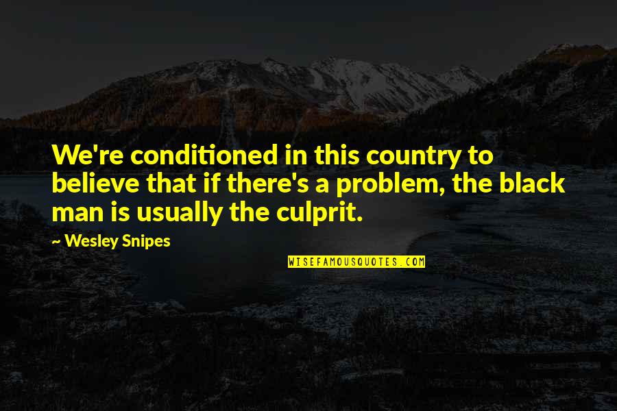 Wesley Snipes Quotes By Wesley Snipes: We're conditioned in this country to believe that