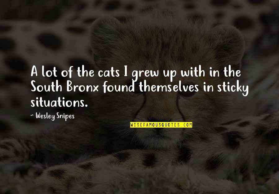 Wesley Snipes Quotes By Wesley Snipes: A lot of the cats I grew up