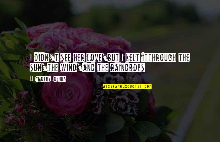 Wessal Bouregreg Quotes By Timothy Joshua: I didn't see her love,but I felt itthrough