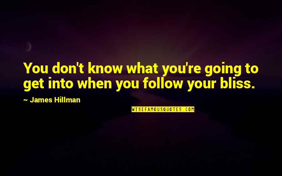 Wesselink Stamboom Quotes By James Hillman: You don't know what you're going to get