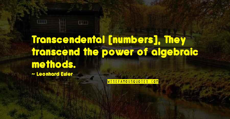 Wesselink Toys Quotes By Leonhard Euler: Transcendental [numbers], They transcend the power of algebraic