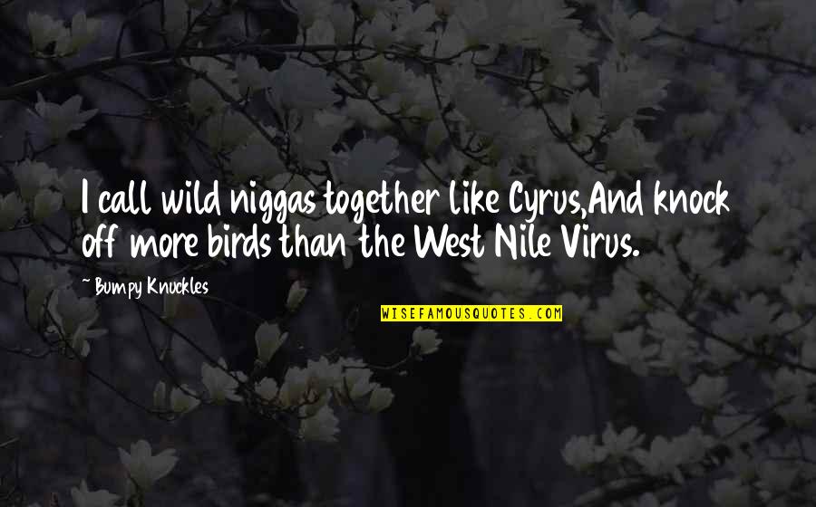 West Nile Quotes By Bumpy Knuckles: I call wild niggas together like Cyrus,And knock