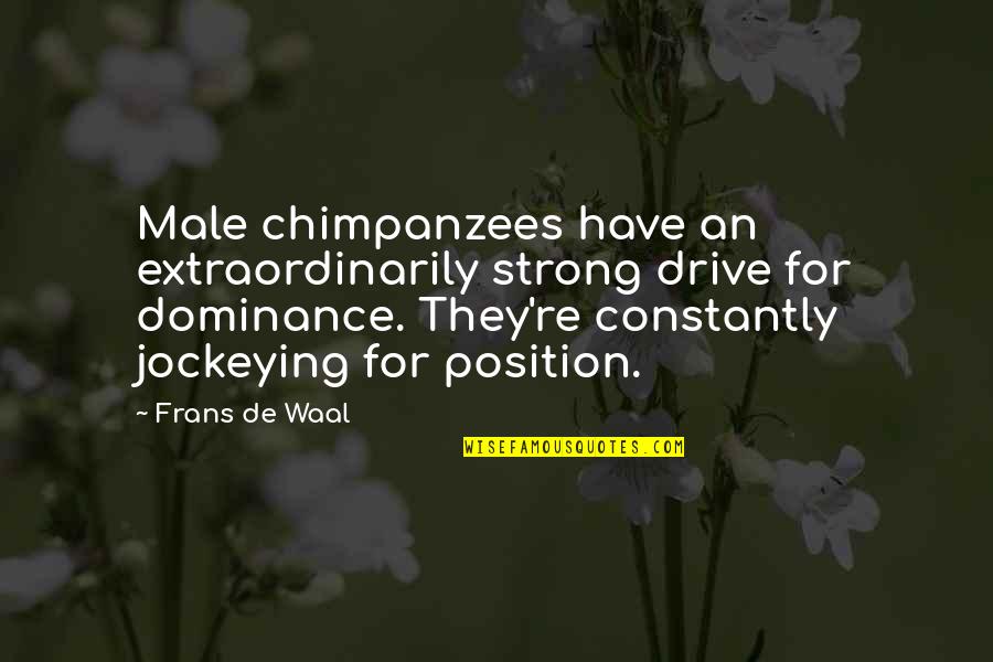 West Virginia University Quotes By Frans De Waal: Male chimpanzees have an extraordinarily strong drive for West Virginia University Quotes By Frans De Waal: Male chimpanzees have an extraordinarily strong drive for