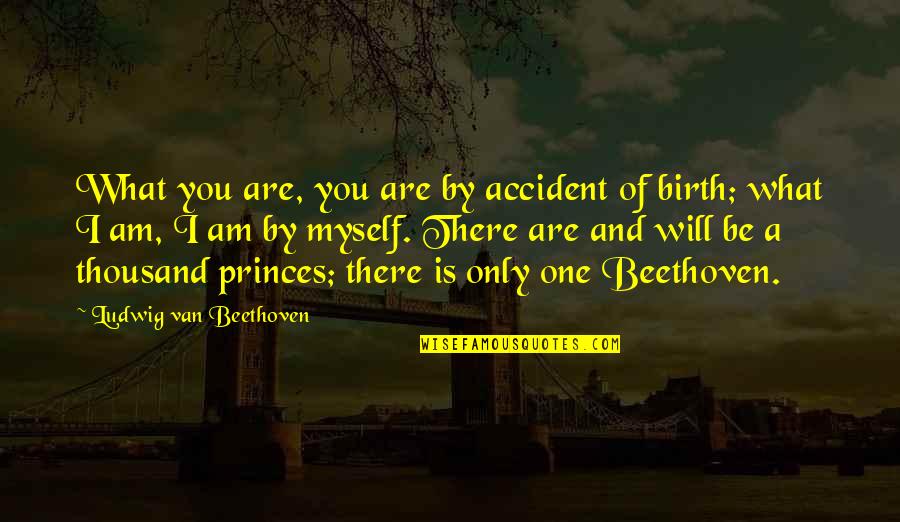 Westendorp Disposal Quotes By Ludwig Van Beethoven: What you are, you are by accident of