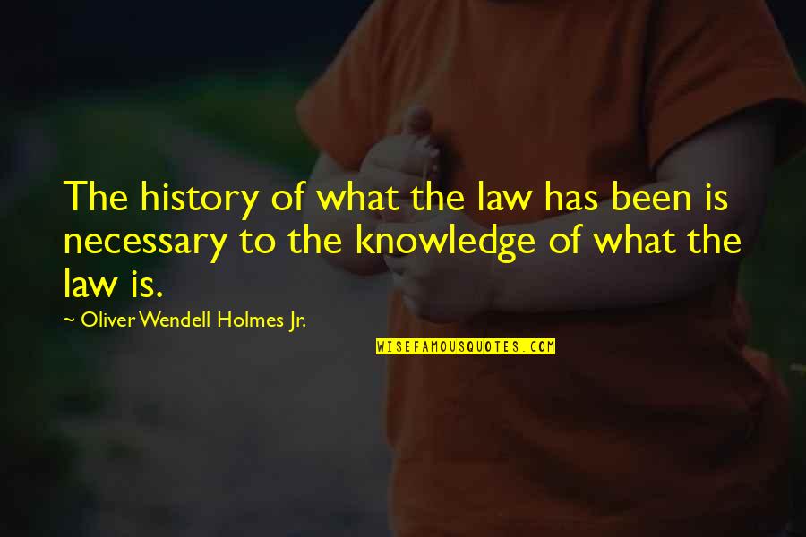 Westerheim Realty Quotes By Oliver Wendell Holmes Jr.: The history of what the law has been