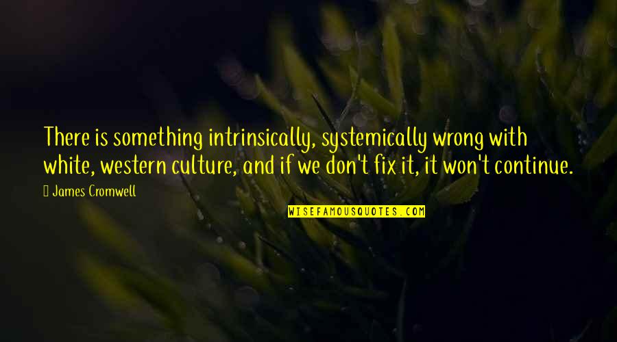 Western Culture Quotes By James Cromwell: There is something intrinsically, systemically wrong with white,