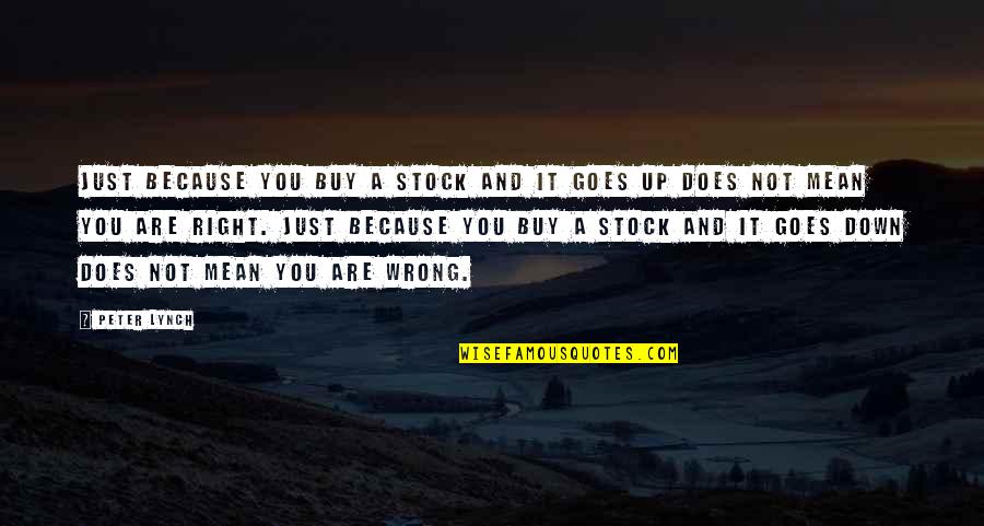 Westhusings Inc Quotes By Peter Lynch: Just because you buy a stock and it